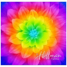 Panel thô Mỹ hoa Big Dream của Hoffman - Loang đủ màu