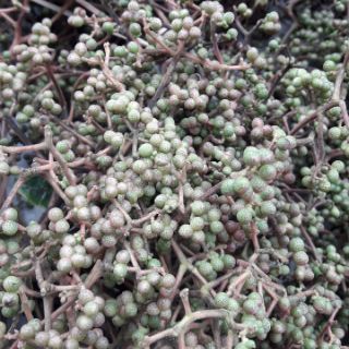 Hạt mắc khén 100k  500g