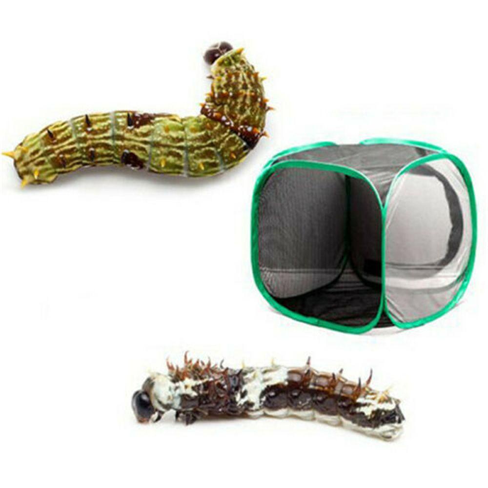 JARRED Lồng Ấp Trứng Trong Suốt Tiện Lợi