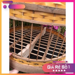 LỒNG CU GÁY ĐAN