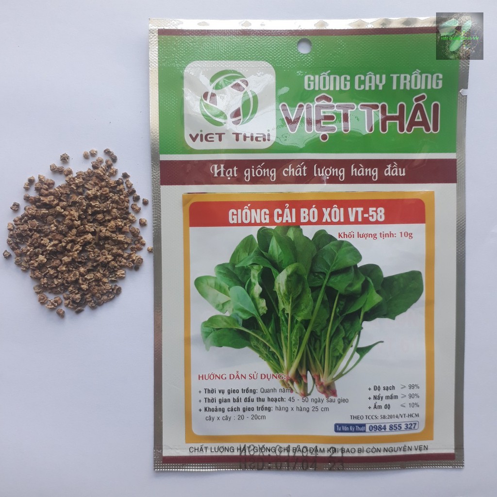 [Seeds] Hạt giống Cải bó xôi, đóng gói 5gr (khoảng 300 hạt), giàu dinh dưỡng, dễ trồng, ít sâu bệnh