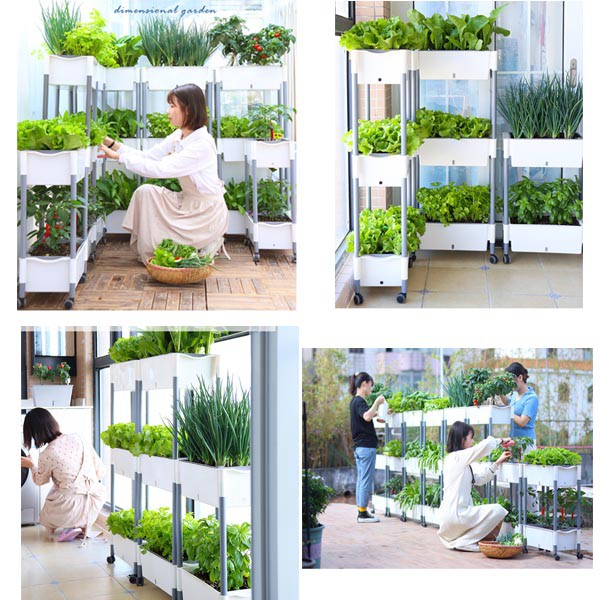 Giá trồng rau tự dưỡng 3 tầng Không cần tưới nước Kệ trồng rau thông minh cho sân thượng ban công
