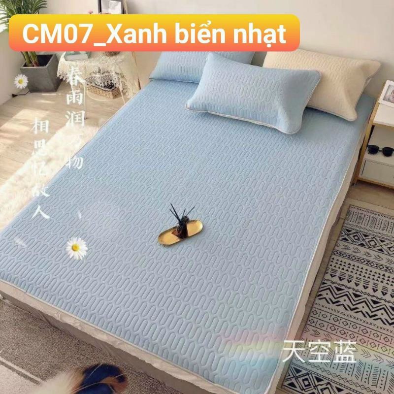 Chiếu điều hoà mủ cao su non Tencel Latex hàng 1 màu đủ các size m6, m8*2m và 2m*2m2