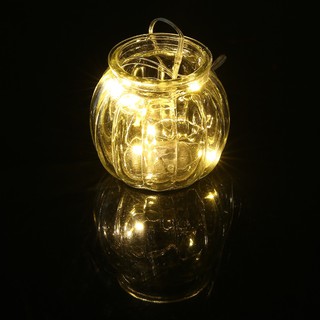 Dây đèn LED dây đồng HST 1M