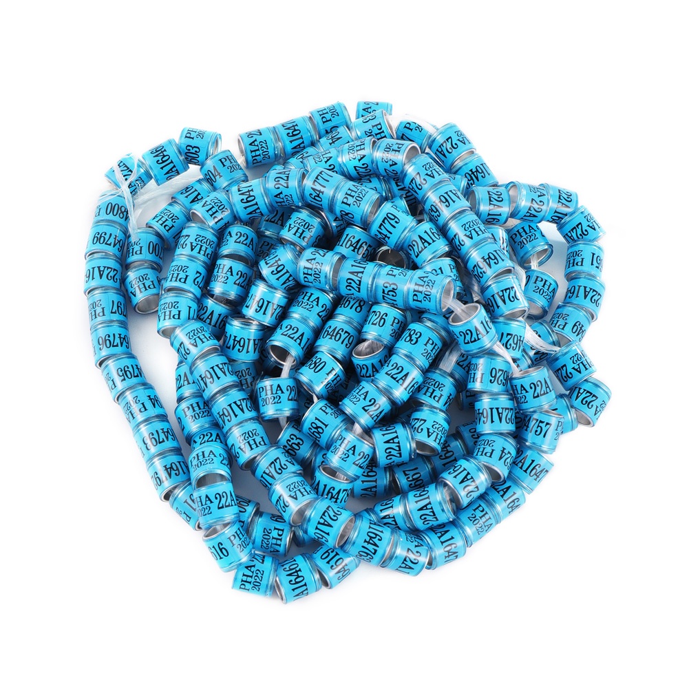 Set 50 / 10 Vòng Đeo Chân 8mm Huấn Luyện Chim Bồ Câu 2024 / 2023 PHA