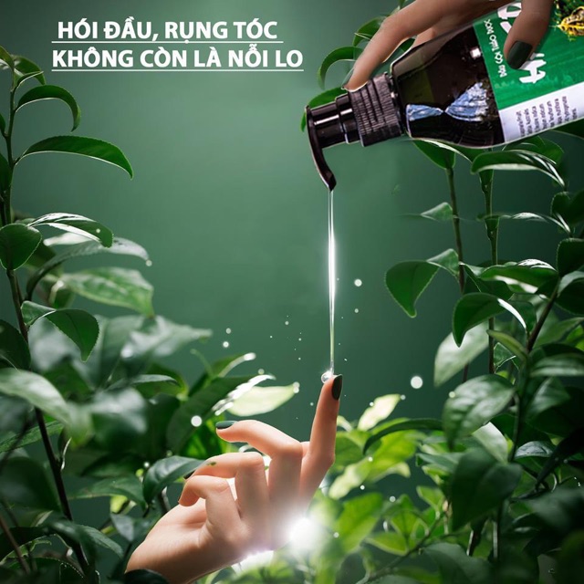 Bộ liệu trình tinh dầu Haco gồm 1 dầu gội thảo dược, 1 tinh dầu xịt Mao Bạt Khang, 1 Ban Thốc Khang | BigBuy360 - bigbuy360.vn