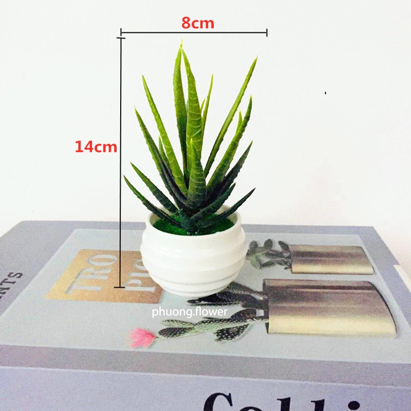 Chậu cây lô hội giả cây lưỡi hồ nhân tạo mini bằng nhựa để bàn trang trí nhà ở decor văn phòng nhà tắm siêu bền đẹp