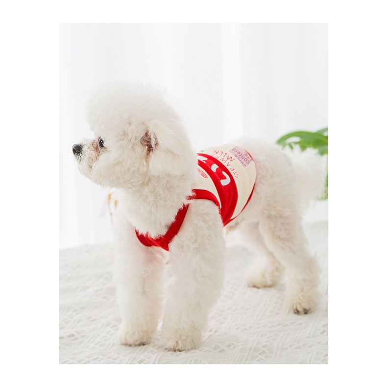 Mới Áo Họa Tiết Trái Cây Thời Trang Xuân Hè Cho Thú Cưng