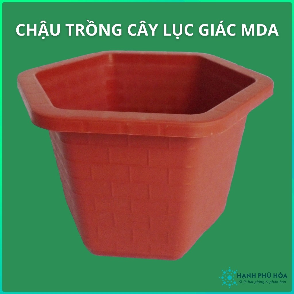 Chậu Lục Giác MDA-Viền gạch -Trồng Hoa Lan, Cây Kiểng - Chậu Nhựa , Đẹp, Nhẹ, Chắc Chắn