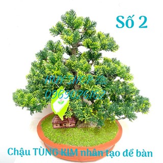 Chậu TÙNG KIM nhân tạo để bàn (30X32cm) trang trí nhà cửa