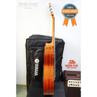 Đàn Guitar Classic Takamine GC1