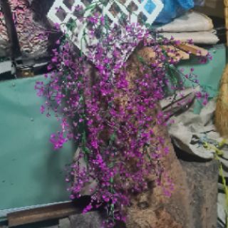 dây rủ đuôi chuông trang trí