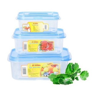 Combo 3 Hộp Nhựa Đựng Thực Phẩm Cao Cấp