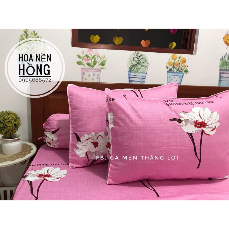 Bộ gối ga 100% coton thắng lợi.