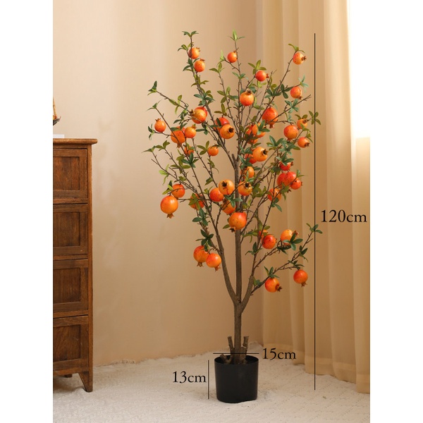 Cây lựu màu đỏ trang trí nhà cửa / Jassi Decor