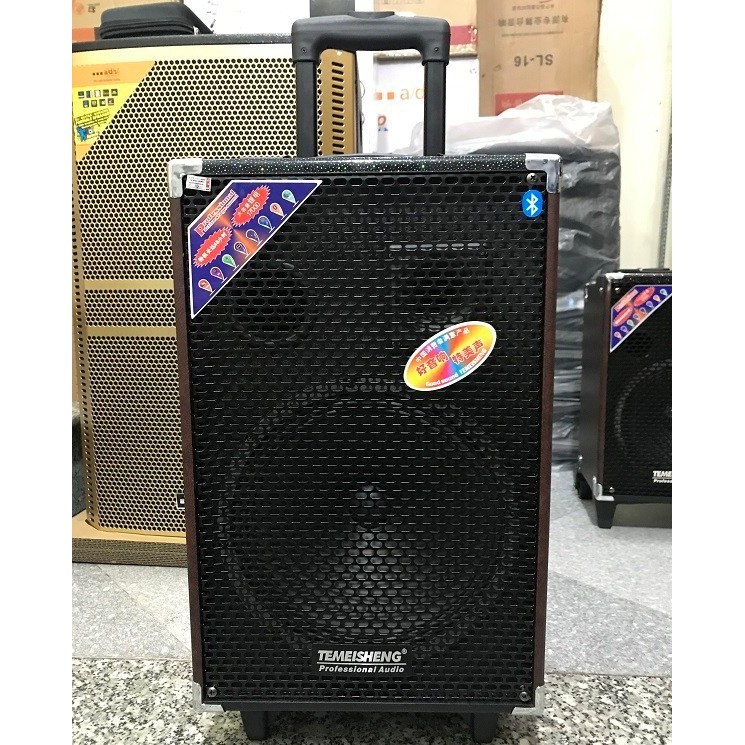 Loa karaoke hay, bền giá rẻ Temeisheng Q10S, 500w thùng gỗ, tặng kèm 2 micro không dây