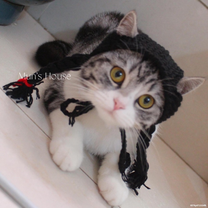 Mũ đội bím tóc hai bên cho chó mèo