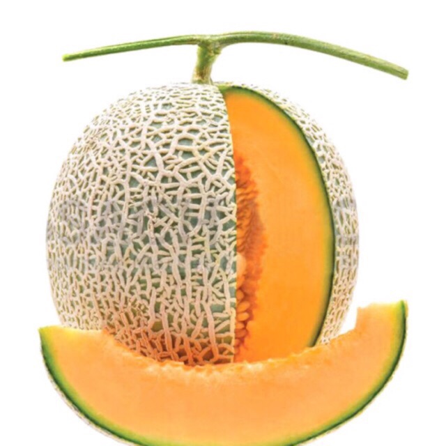 Hạt giống dưa lưới nhập khẩu, dua lươi vàng ngọt lịm (trồng cạn or thủy canh đều được)