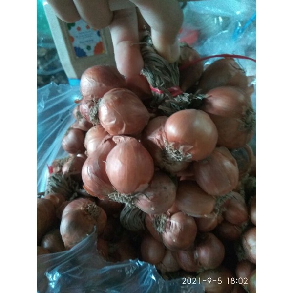 500g hành ta - hành khô chắc củ thơm để được lâu