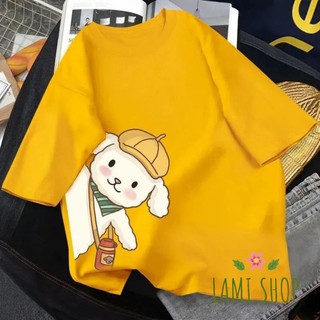 Áo Thun Nữ Tay Lỡ Form Rộng Hình chú chó đội mũ dễ thương