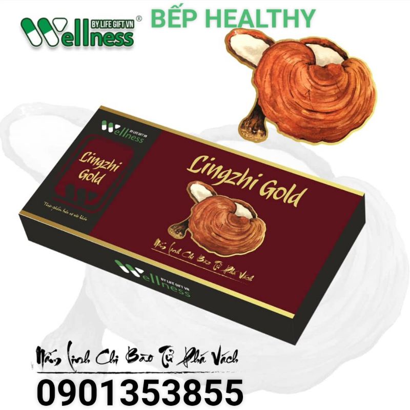 Thực phẩm bảo vệ gan nấm linh chi( lingzhi gold)