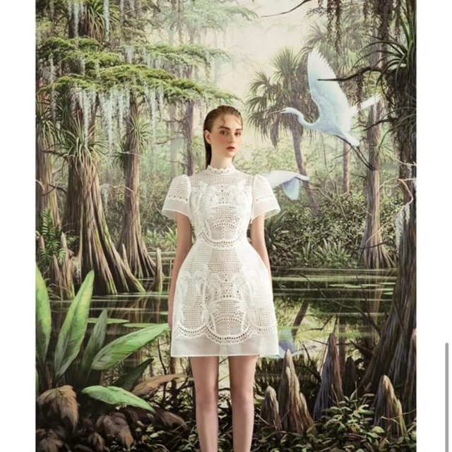 Váy thêu ren trắng size XL