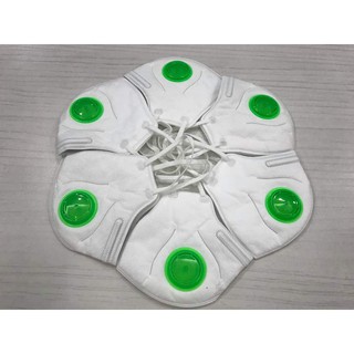 Khẩu trang N95+ chống bụi mịn PM2.5 SafeLife Việt Nam