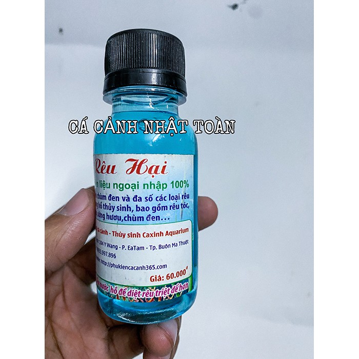 DIỆT RÊU HẠI CÁ XINH AQUARIUM 100ML