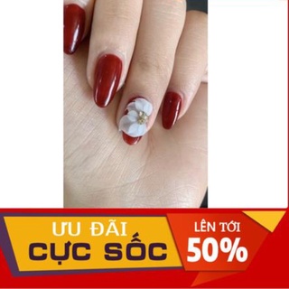 Hoa Cánh Tiên