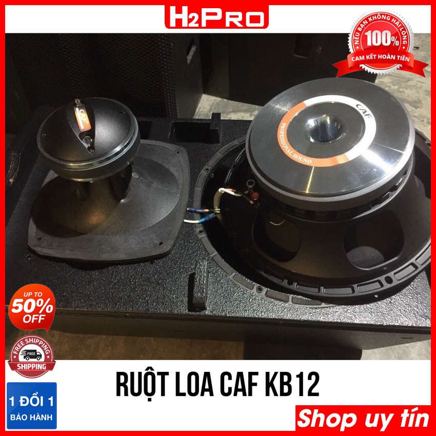 Đôi loa karaoke CAF KB12 bass 30 1000W, hàng nhập | Loa karaoke gia đình ( tặng 2 khẩu neutrick 99k )