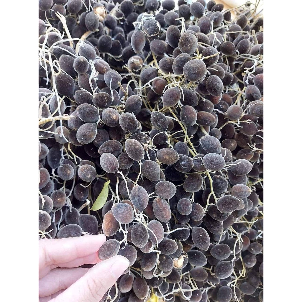 Say nhung rừng 500gr Nhii Food đồ ăn vặt chua chua ngọt ngọt | BigBuy360 - bigbuy360.vn