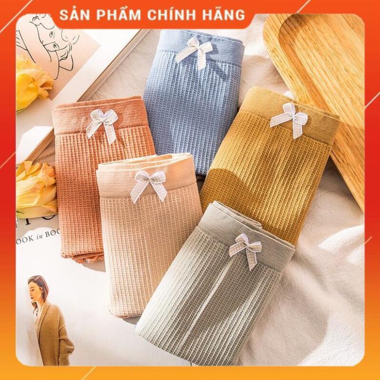 Quần Lót Cotton Thông Hơi Co Giãn 4 Chiều Sợi Bông Viền Ren Cao Cấp 3312