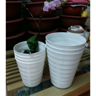 10 cái chậu vân sóng trồng hoa giá bất chấp 20CM