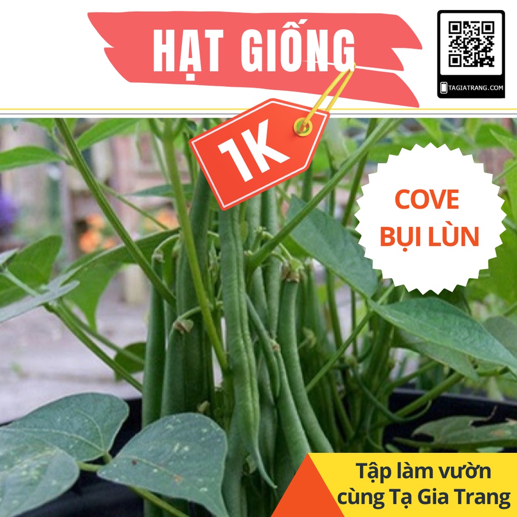 Deal 1K - 5 Hạt giống đậu cove lùn  - Tập làm vườn cùng Tạ Gia Trang