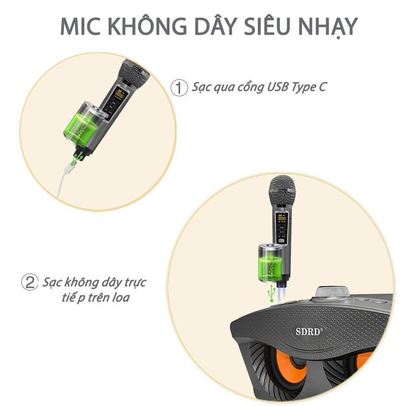 Loa karaoke bluetooth SDRD SD 306 Plus Đen bản mới nhất, thêm nhiều tính năng- kèm 2 Micro karaoke không dây/bh 6 tháng