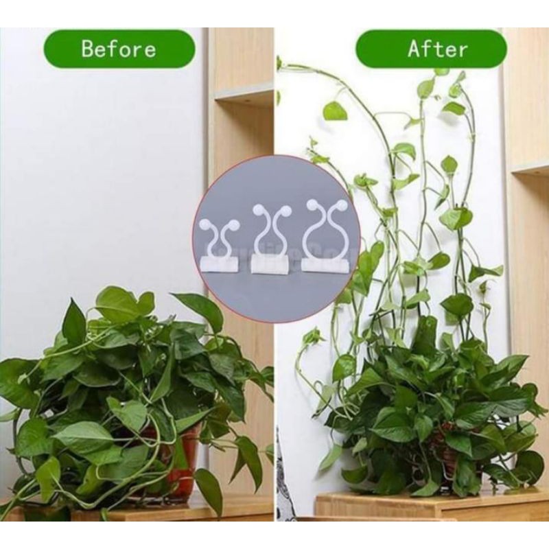 Nút cố định dây leo tường,dây điện (1nút)