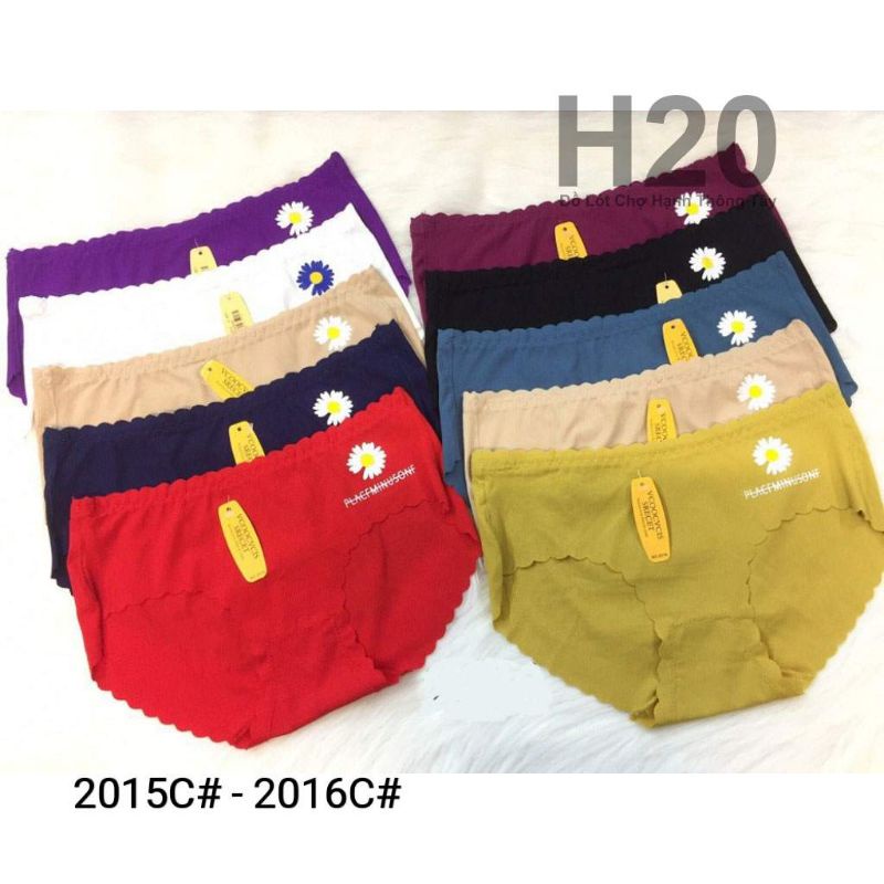 QUẦN CHIP SU GÂN NHUYỄN HOA CÚC 2015C# - 2016C#