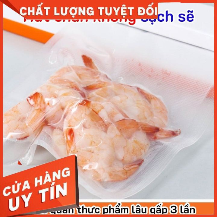 máy hút chân không, máy hút chân không thực phẩm mini kiêm hàn miệng túi