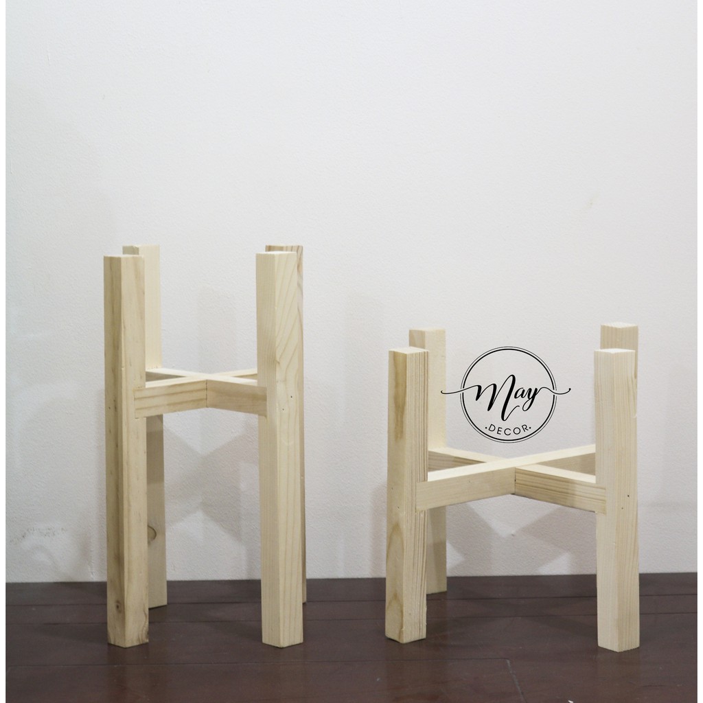 Set chậu cây bàng non singapore