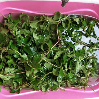 GÓI TẮM BÉ THẢO DƯỢC