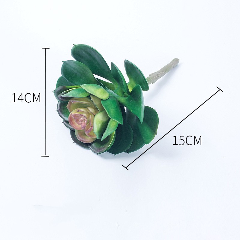Cây Sen Đá / Xương Rồng Giả Trang Trí Nội Thất sen đá aeonium mini cây giả trang trí nhà cây giả decor