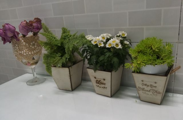 Chậu gỗ trồng sen đá Mini