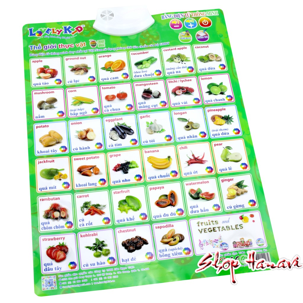 Bảng điện tử thông minh: Thế giới thực vật
