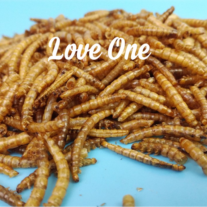 Sâu khô lớn & nhỏ