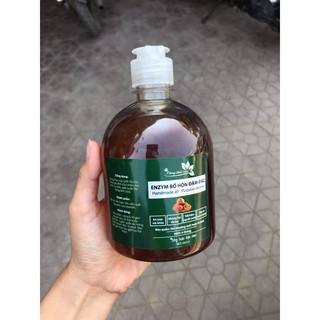 Enzym bồ hòn hoa quả