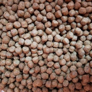 Cám cá công nghiệp (hạt 3mm-5kg)