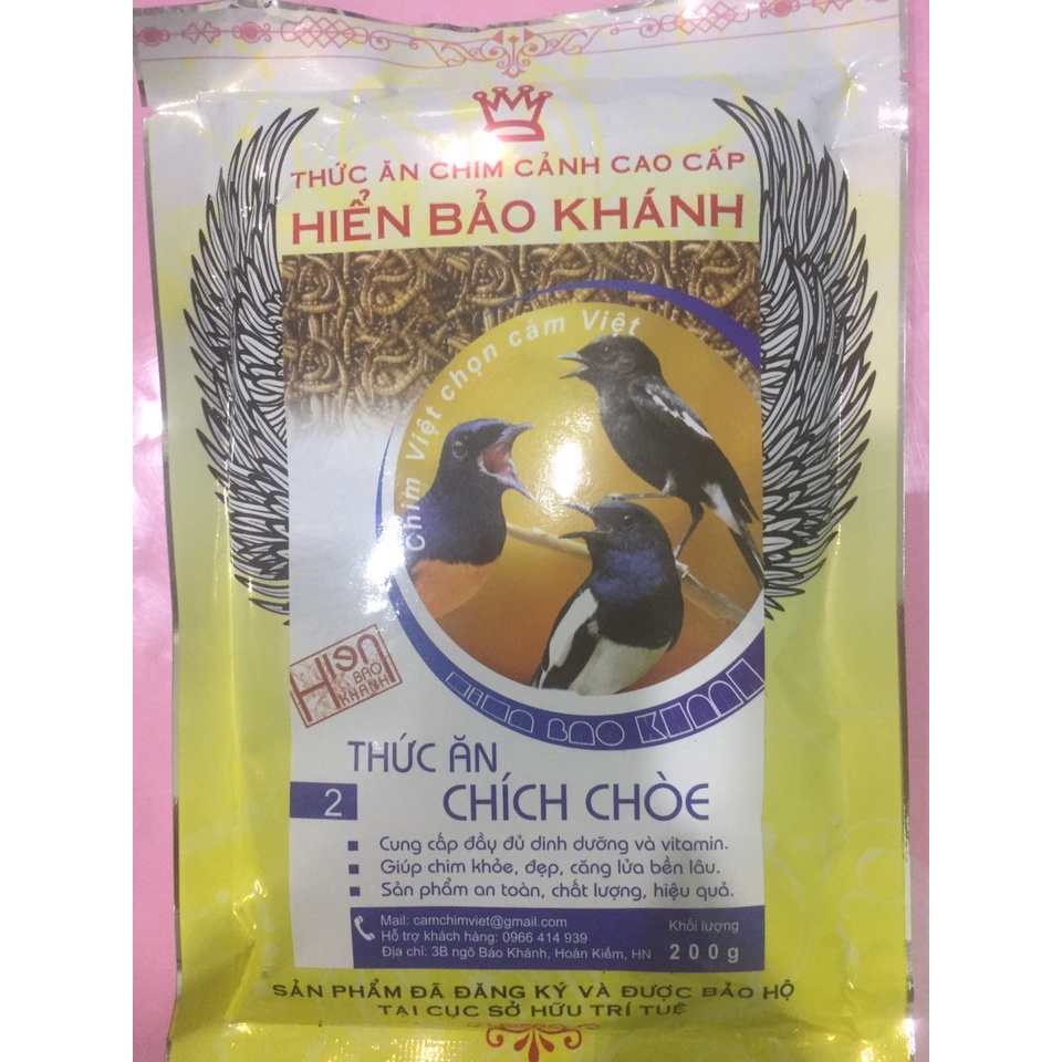 HBK chích chòe 02