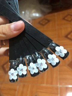 hoa mai bột1 tầng