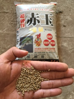 Đất nung Nhật Bản- Ryusen Akadama