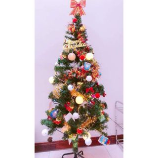 Cây thông noel